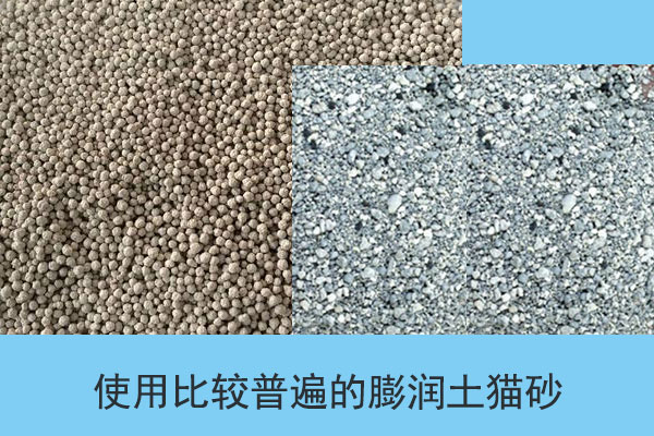膨潤土貓砂是使用比較普遍的貓砂 膨潤土貓砂是使用比較普遍的貓砂