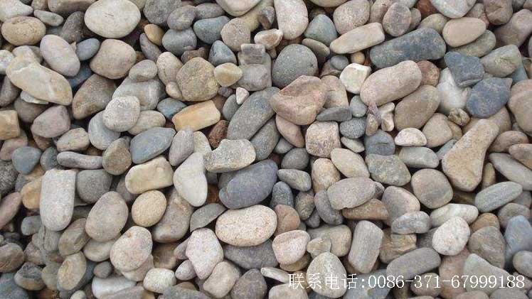 現場河卵石展示圖