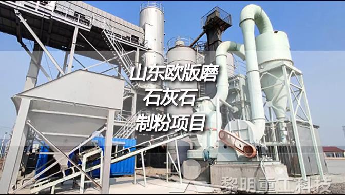 山東濱州時產15噸成品400目MTW歐版磨粉機石灰石製粉項目